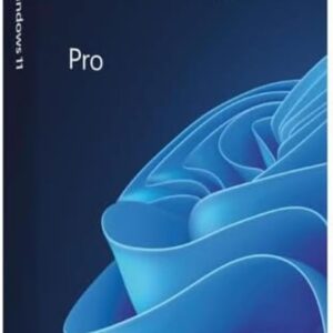 MICROSOFT WINDOWS 11 PRO 64-BIT ENG INTL
